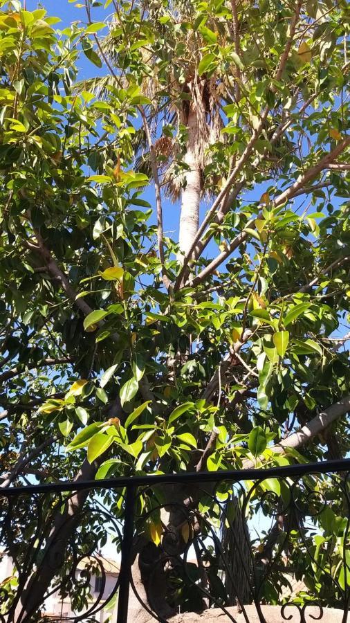 Appartamento La Palma Posada  Dış mekan fotoğraf